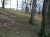 Phillips Park