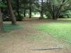 Showa Kinen Park