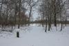 Valbyparken Disc Golf Park