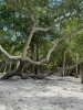 Joe Eakes Park at Kure Beach