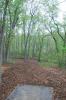 Peabody Disc Golf at Scouting Woods