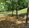 Bukit Jelutong Disc Golf Course
