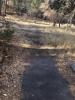 Emmanuel Pines Camp