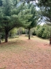 Rocky Top Preserve