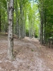 Rocky Top Preserve