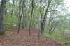 Peabody Disc Golf at Scouting Woods