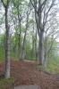 Peabody Disc Golf at Scouting Woods