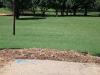George Ward Park