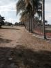 Mosquito Creek 