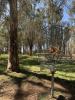 John Knight Memorial Disc Golf Course