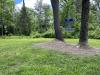 Devil's Grove Disc Golf - The Devil