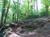 Timmons Park