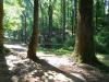 Timmons Park