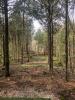 Hanna Hills Disc Golf Course