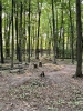 Rocky Top Preserve
