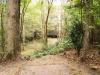 Fayetteville Memorial DGC at Arnette Park