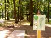 Hole 1 basket
