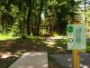 Hole 1 basket