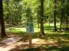 Hole 1 basket