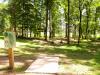 Hole 1 basket