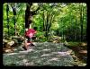 Smugglers Notch Disc Golf Center - Brewster Ridge