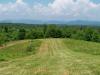 Chattooga Belle Farm