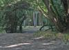 Creekside Park