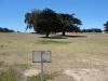 CSUMB Cypress Disc Golf Course