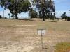 CSUMB Cypress Disc Golf Course