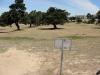 CSUMB Cypress Disc Golf Course