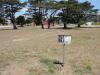 CSUMB Cypress Disc Golf Course
