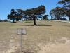 CSUMB Cypress Disc Golf Course