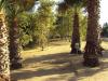 Escondido Rotary Disc Golf Course at Kit Carson Park
