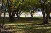 Longley Park