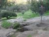 DeLaveaga Disc Golf Course