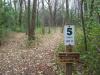 Northwood Disc Golf Course