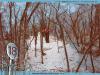 Hummel Park Disc Golf Course