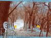Hummel Park Disc Golf Course
