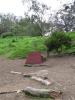 Golden Gate Park Disc Golf Course