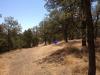 Lake Amador North