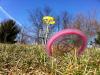 Franklin Park Disc Golf Course