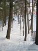 Devens Disc Golf Course - The Hill