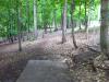 Schenley Park