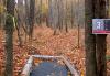 Hole 2 tee