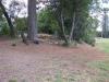 Lava Creek Disc Golf