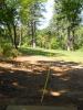 Lava Creek Disc Golf