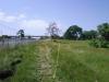 John Mackey Park