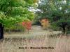 Moraine State Park Disc Golf Course