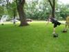 Northwood Disc Golf Course