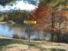 Ashe County Park Disc Golf Course